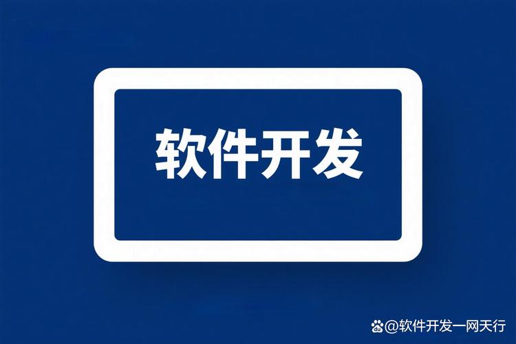 选错合作伙伴代价几何？——网络与信息安全软件开发选型中的延迟、超支与风险防控指南